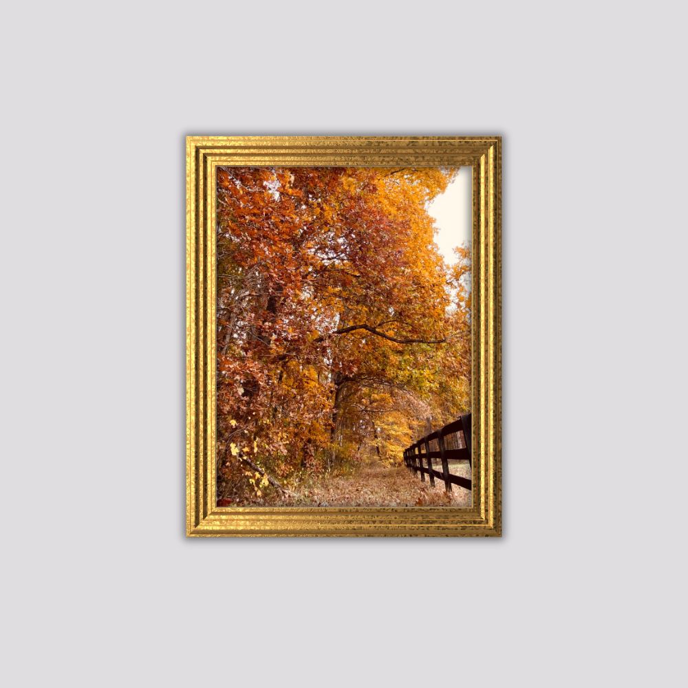 Fall in Virginia Art Print 5x7 – Autumn Foliage Wall Art, Rustic Country Landscape Photography, Seasonal Home Decor