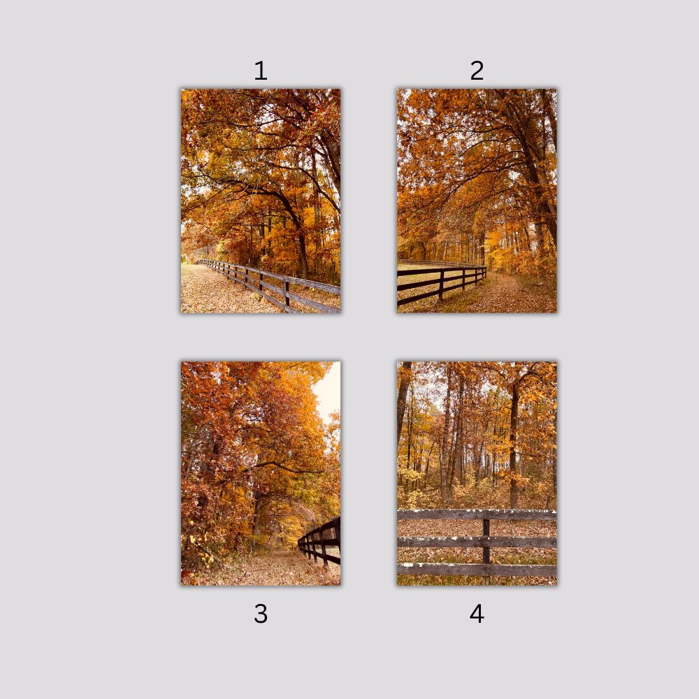Fall in Virginia Art Print 5x7 – Autumn Foliage Wall Art, Rustic Country Landscape Photography, Seasonal Home Decor