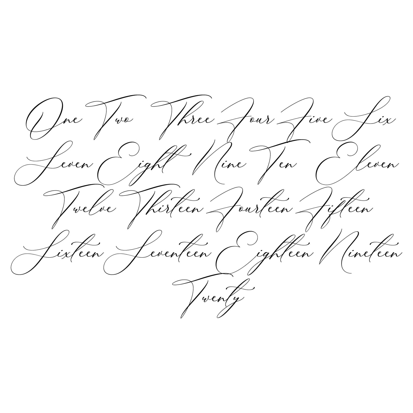 Deckle Edge Wedding Table Numbers