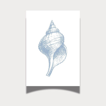 Seashell Art Prints, Set of 3