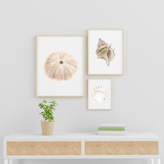 Set of 4 Beige Watercolor Seashell Prints – 5x7 Digital Download Wall Art, Coastal Minimalist Decor, Beach Gallery Wall Set