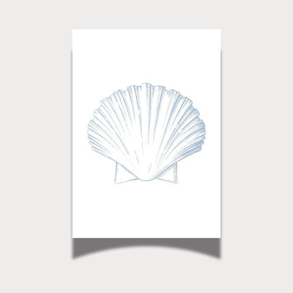 Seashell Art Prints, Set of 3
