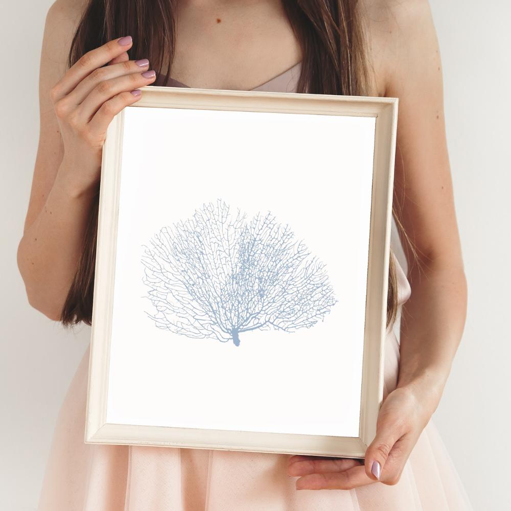 Coastal Seashell Wall Art Set, Digital Prints, Nautical, Coral Sea Fan Decor, Beach House Printable, Instant Download, 8 x 10 and 16x20