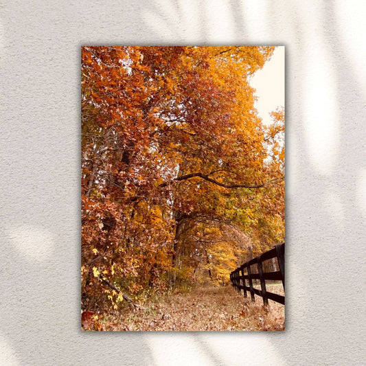 Fall in Virginia Art Print 5x7 – Autumn Foliage Wall Art, Rustic Country Landscape Photography, Seasonal Home Decor
