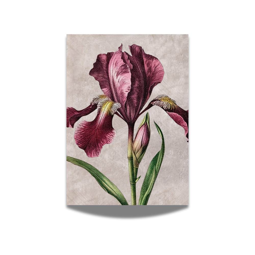 Vintage Flower Inspired Art, Set of 2