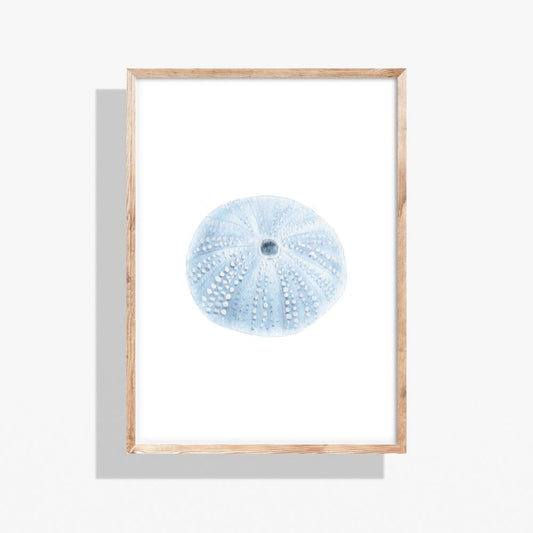 Blue Watercolor Sea Urchin Printable Wall Art – Coastal Digital Download (16x20)