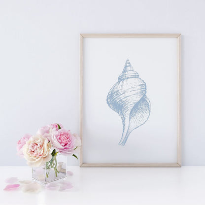 Seashell Art Prints, Set of 3