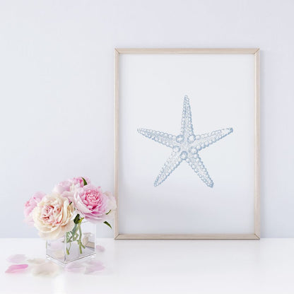 Seashell Art Prints, Set of 3