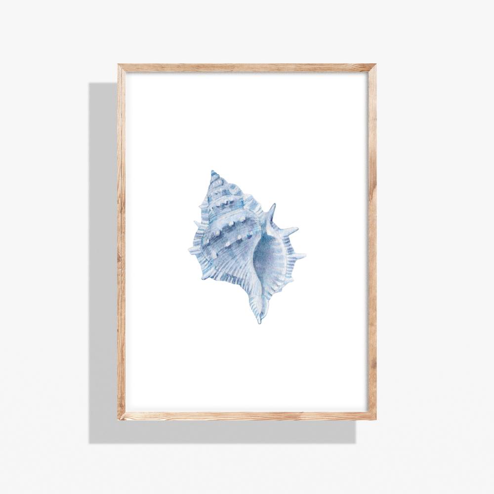 Blue Watercolor Seashell Printable Wall Art – Coastal Digital Download (16x20)