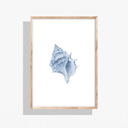 Blue Watercolor Seashell Printable Wall Art – Coastal Digital Download (16x20)