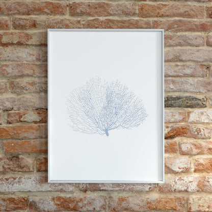 Coastal Seashell Wall Art Set, Digital Prints, Nautical, Coral Sea Fan Decor, Beach House Printable, Instant Download, 8 x 10 and 16x20