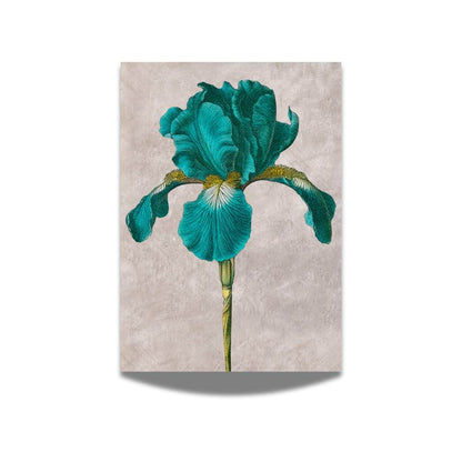 Vintage Flower Inspired Art, Set of 2