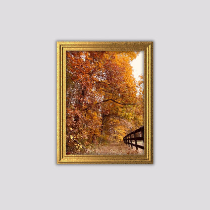 Fall in Virginia Art Print 5x7 – Autumn Foliage Wall Art, Rustic Country Landscape Photography, Seasonal Home Decor
