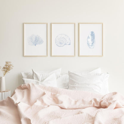 Coastal Seashell Wall Art Set, Digital Prints, Nautical, Coral Sea Fan Decor, Beach House Printable, Instant Download, 8 x 10 and 16x20