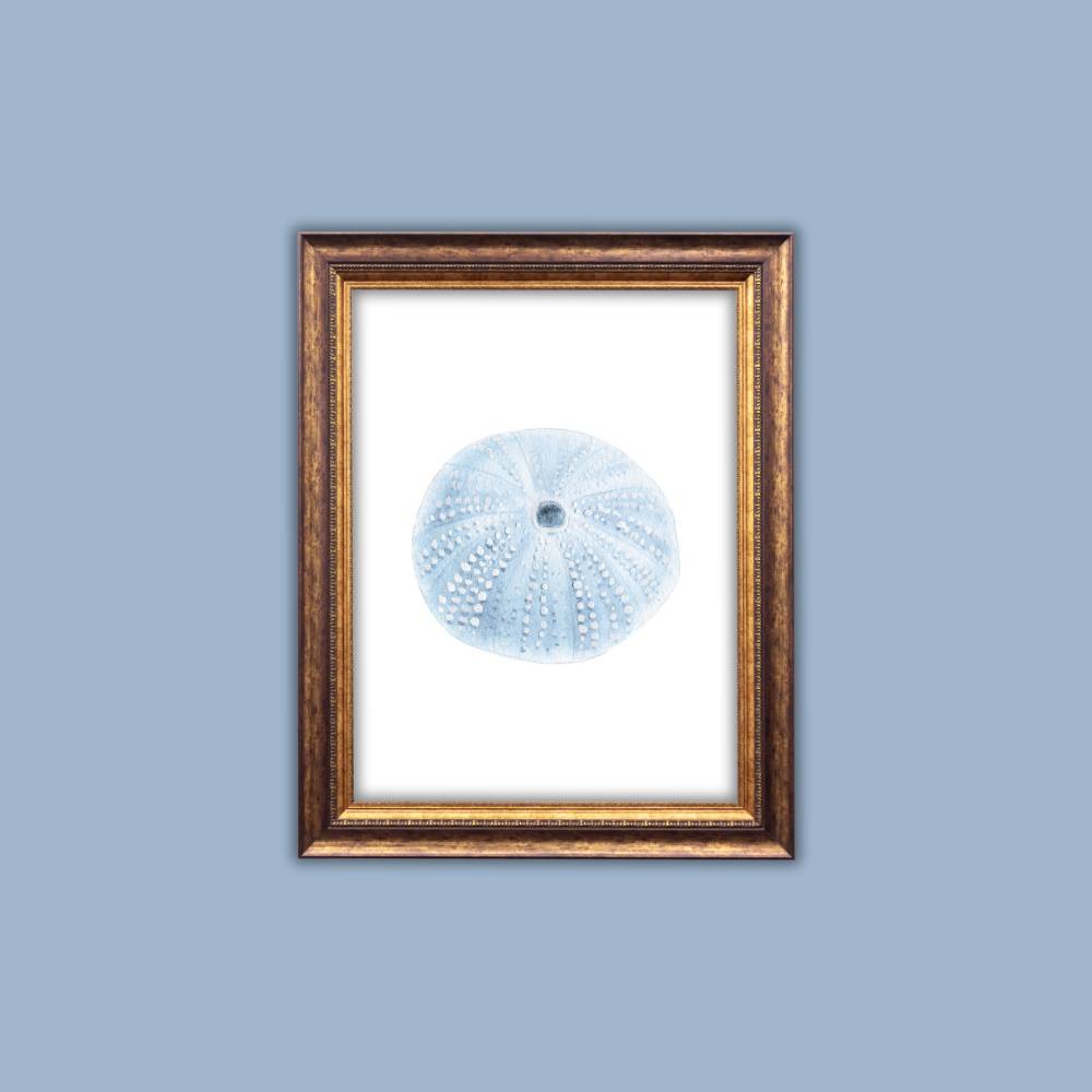 Blue Watercolor Sea Urchin Printable Wall Art – Coastal Digital Download (16x20)