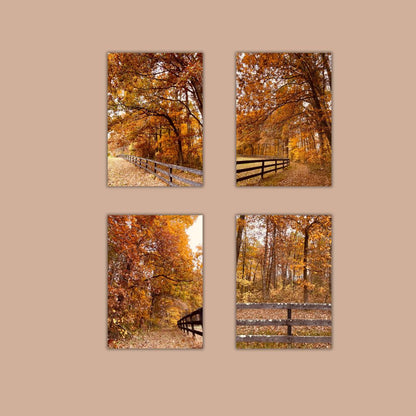 Fall in Virginia Art Print 5x7 – Autumn Foliage Wall Art, Rustic Country Landscape Photography, Seasonal Home Decor