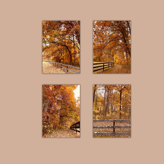 Fall in Virginia Art Print 5x7 – Autumn Foliage Wall Art, Rustic Country Landscape Photography, Seasonal Home Decor