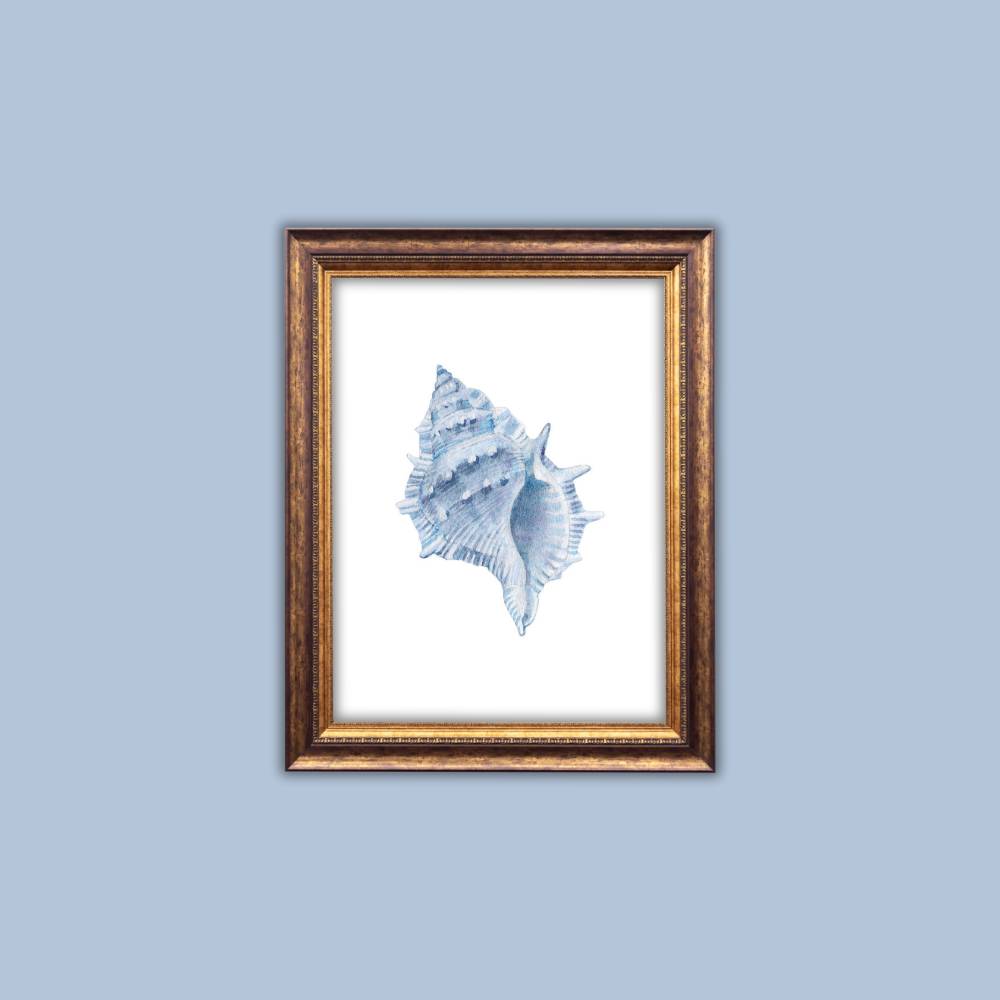 Blue Watercolor Seashell Printable Wall Art – Coastal Digital Download (16x20)