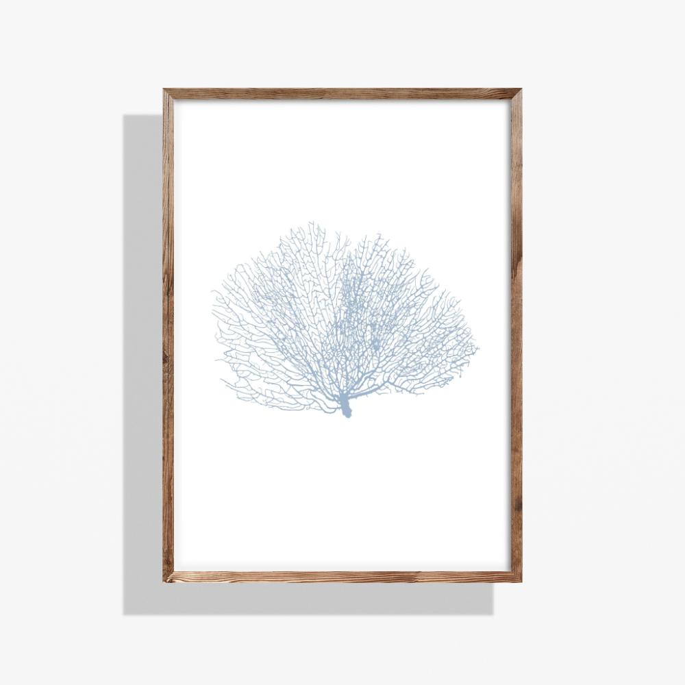 Coastal Seashell Wall Art Set, Digital Prints, Nautical, Coral Sea Fan Decor, Beach House Printable, Instant Download, 8 x 10 and 16x20