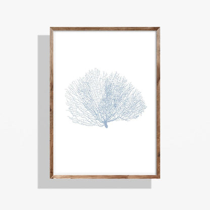 Coastal Seashell Wall Art Set, Digital Prints, Nautical, Coral Sea Fan Decor, Beach House Printable, Instant Download, 8 x 10 and 16x20