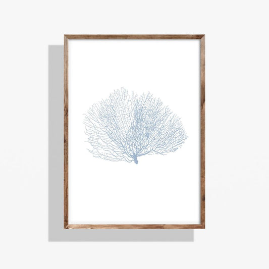 Coastal Seashell Wall Art Set, Digital Prints, Nautical, Coral Sea Fan Decor, Beach House Printable, Instant Download, 8 x 10 and 16x20