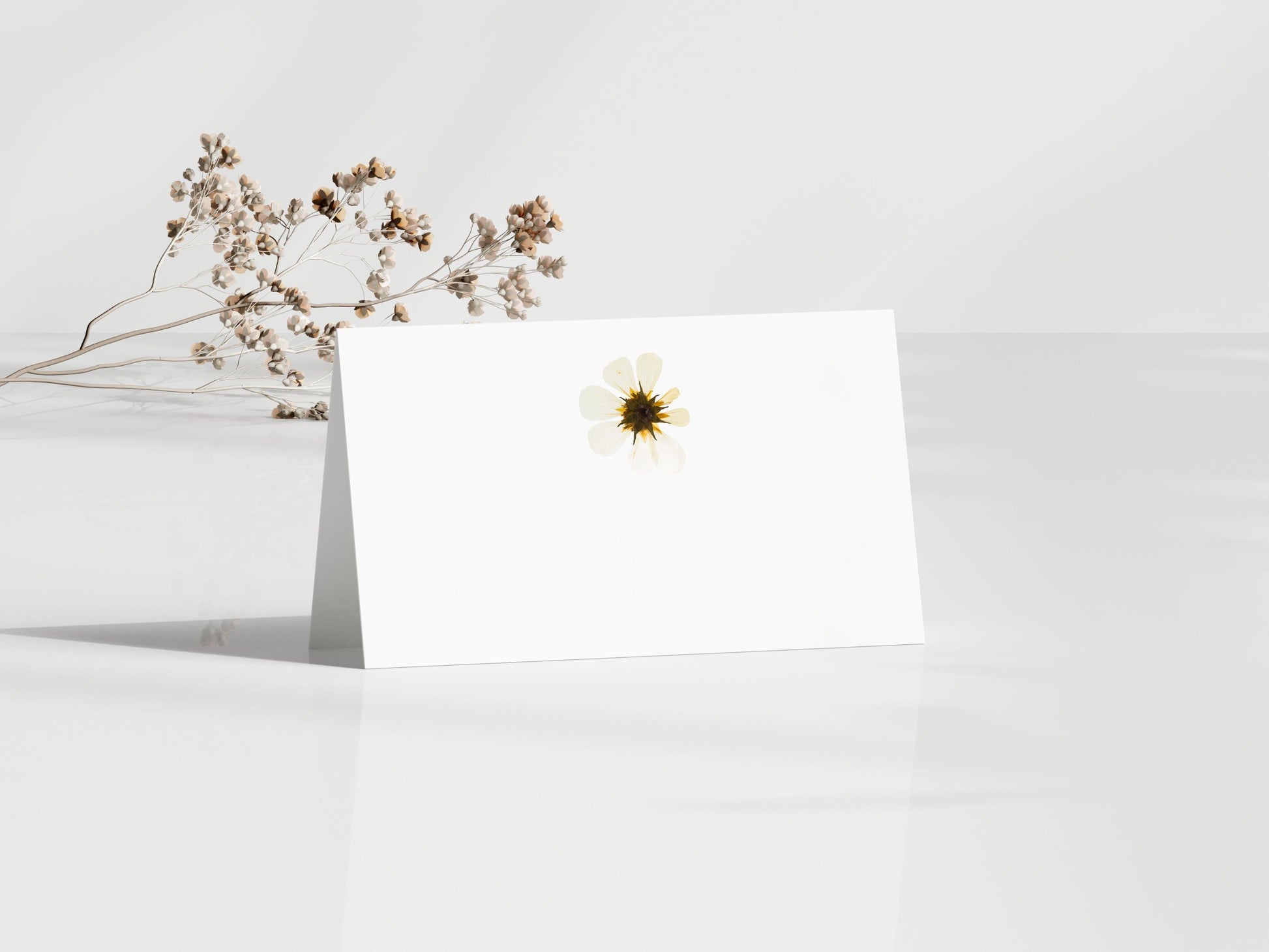 Pressed flower place cards