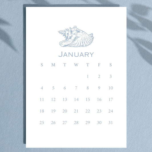 2026 Desktop Calendar, Beach Decor, Coastal Blue Shell Calendar, 5 x 7, Printed & Shipped