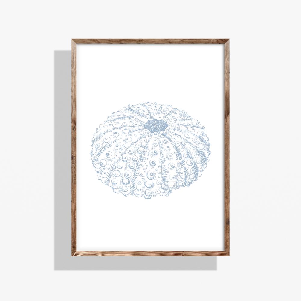 Coastal Seashell Wall Art Set,  Digital Prints, Nautical Shell Decor, Beach House Printable, Set of 3,  Instant Download, Dusty Blue, 16x20