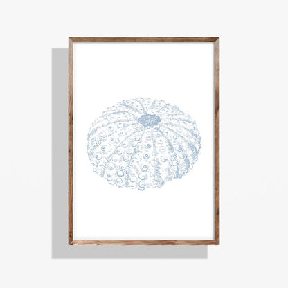 Coastal Seashell Wall Art Set,  Digital Prints, Nautical Shell Decor, Beach House Printable, Set of 3,  Instant Download, Dusty Blue, 16x20