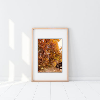 Fall in Virginia Art Print 5x7 – Autumn Foliage Wall Art, Rustic Country Landscape Photography, Seasonal Home Decor