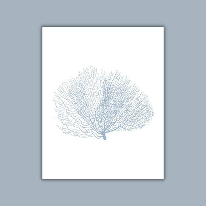 Coastal Seashell Wall Art Set, Digital Prints, Nautical, Coral Sea Fan Decor, Beach House Printable, Instant Download, 8 x 10 and 16x20