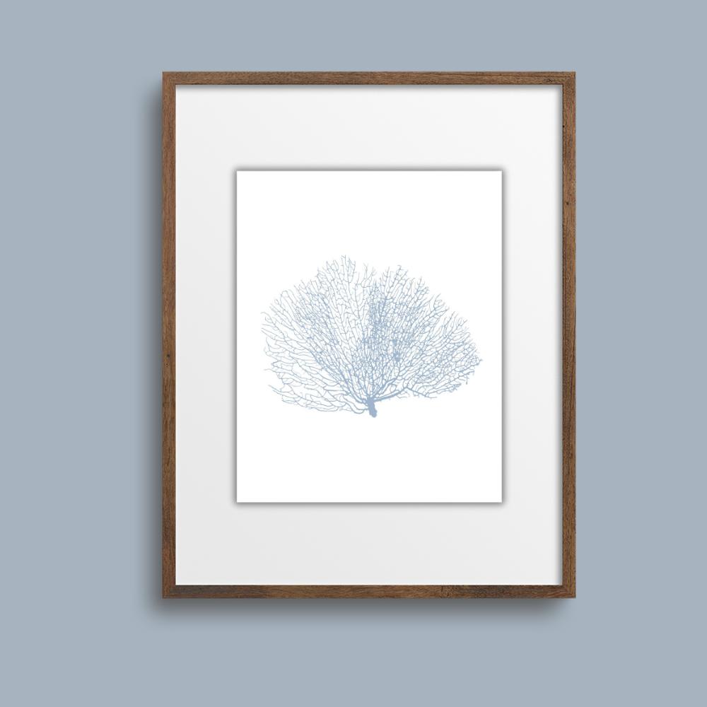 Coastal Seashell Wall Art Set, Digital Prints, Nautical, Coral Sea Fan Decor, Beach House Printable, Instant Download, 8 x 10 and 16x20