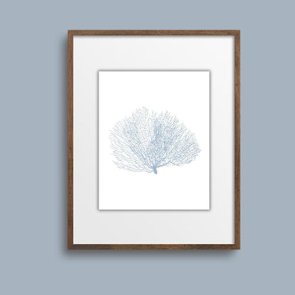 Coastal Seashell Wall Art Set, Digital Prints, Nautical, Coral Sea Fan Decor, Beach House Printable, Instant Download, 8 x 10 and 16x20