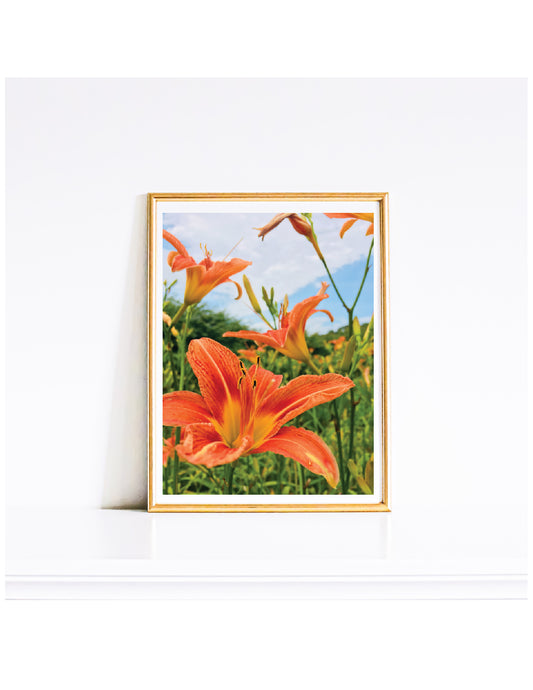 Flowers, Digital Download, Floral Art Print, Digital Wall Art Wall Decor - Gallery360 Designs