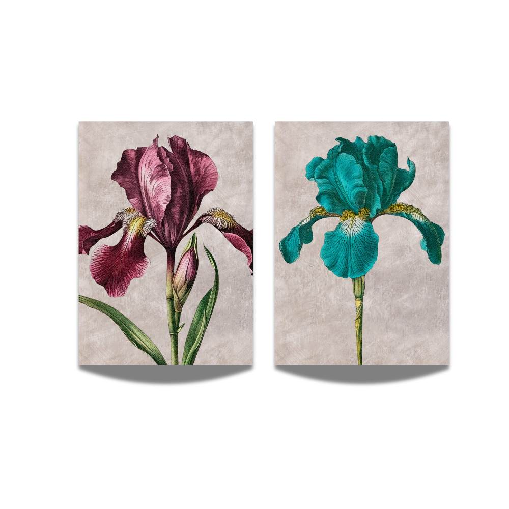 Two botanical posters of a pink and a blue iris on a beige background